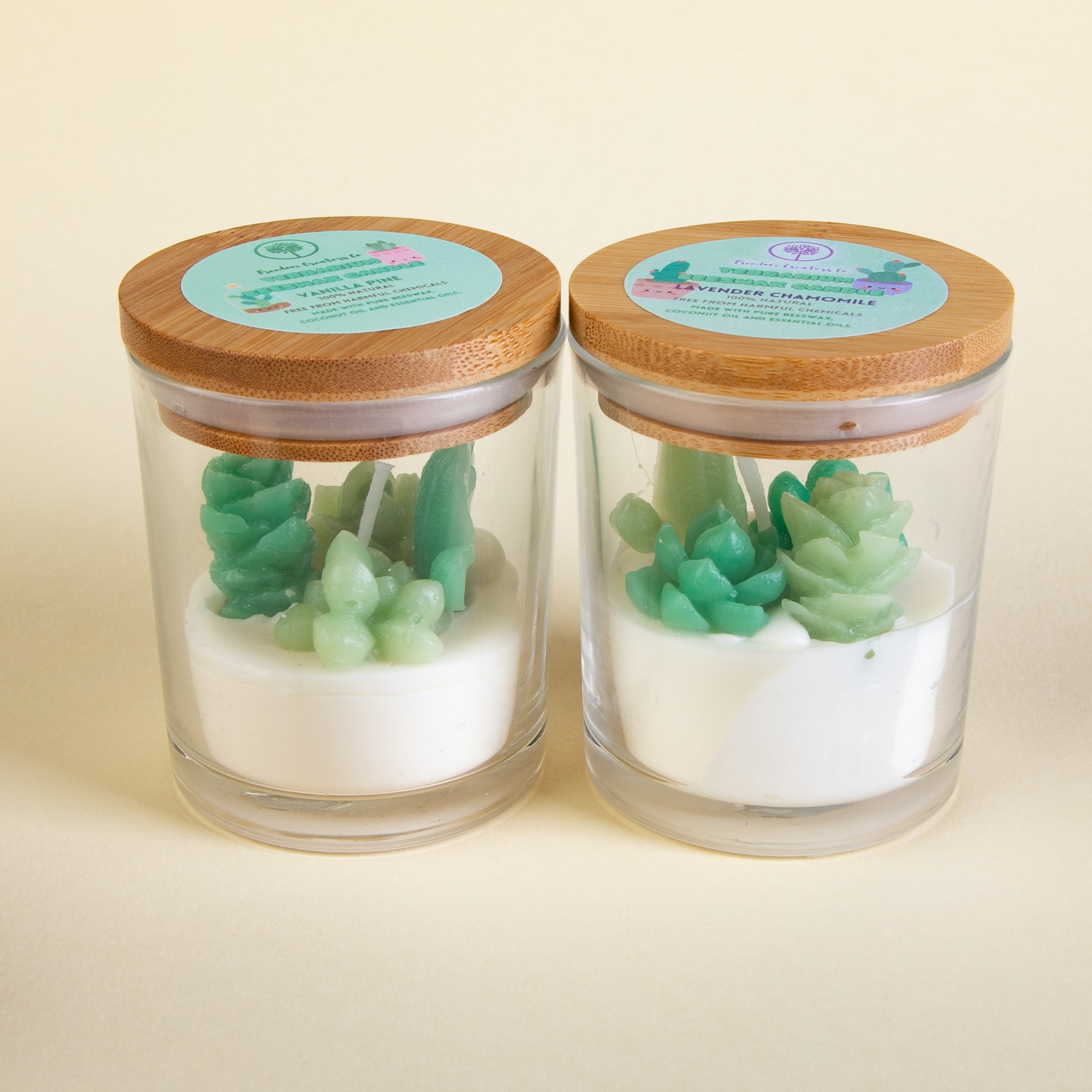 Plant Lover Candle Gift Box