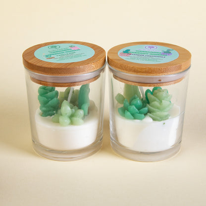 Plant Lover Candle Gift Box