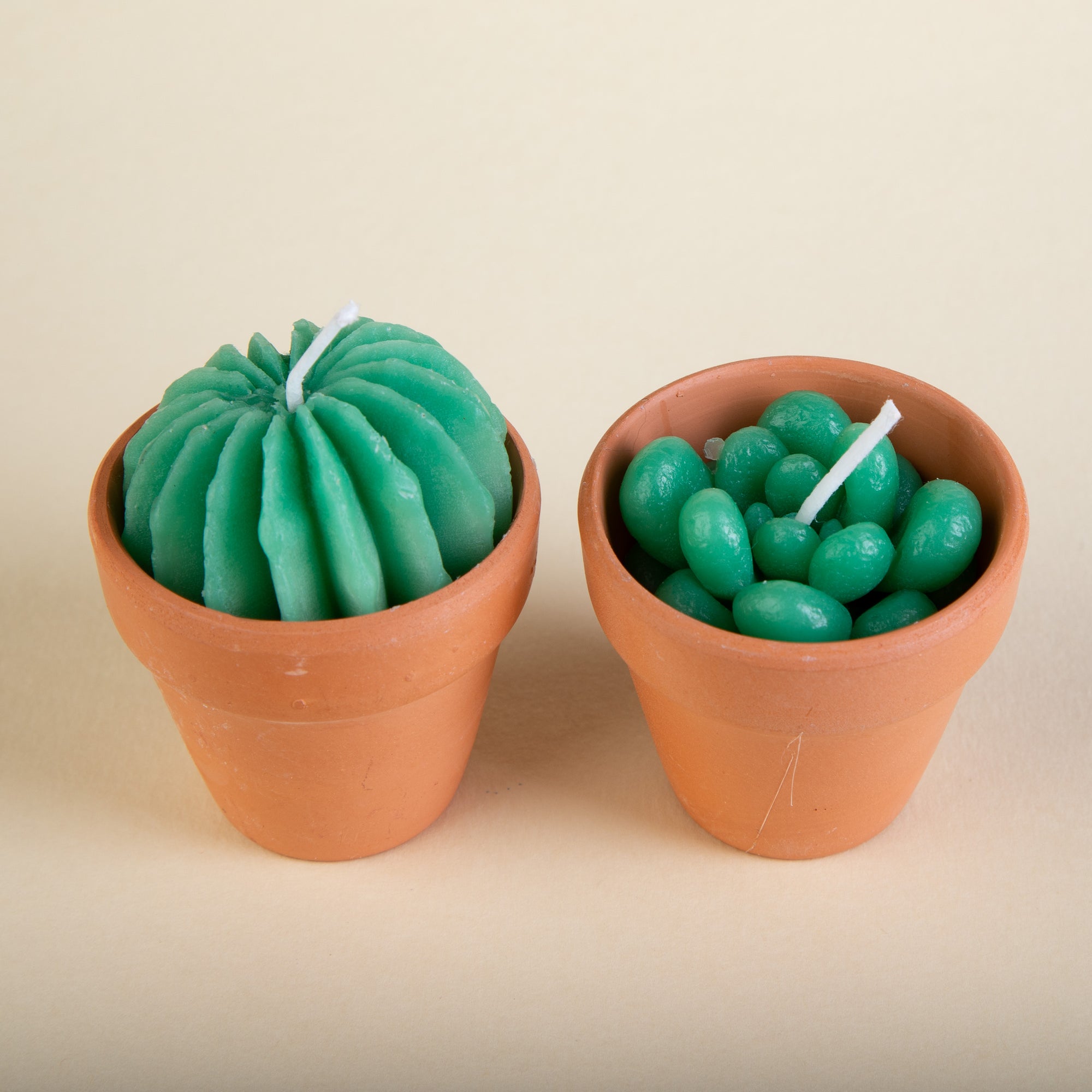 Potted Succulent Candles